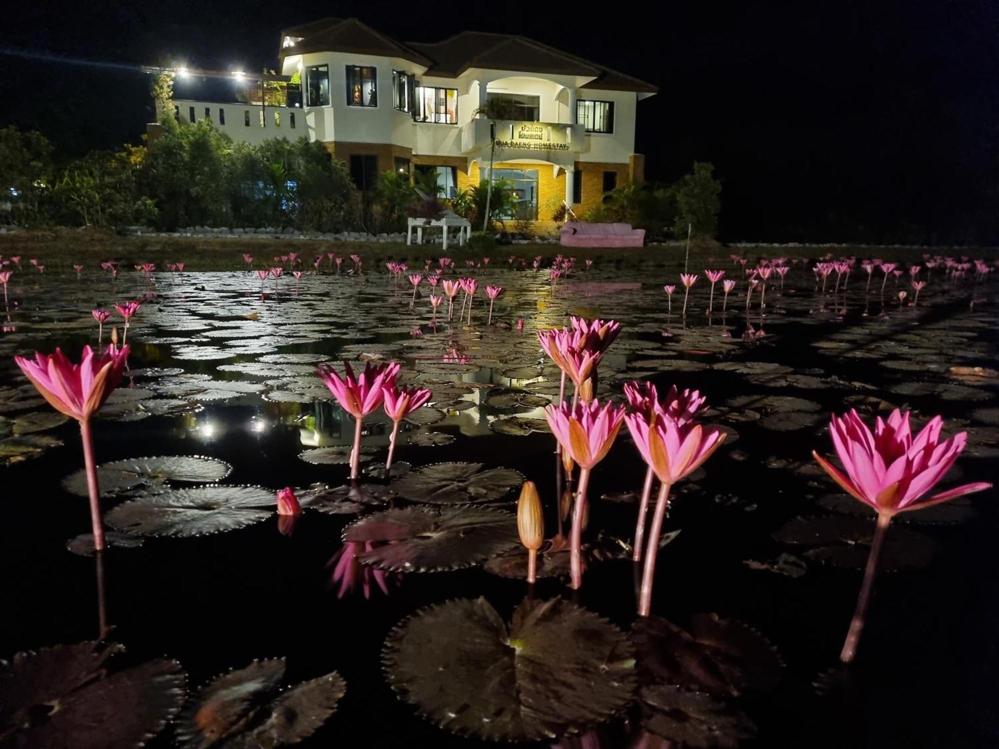 Bua Daeng Homestay Resort Kumphawapi 外观 照片
